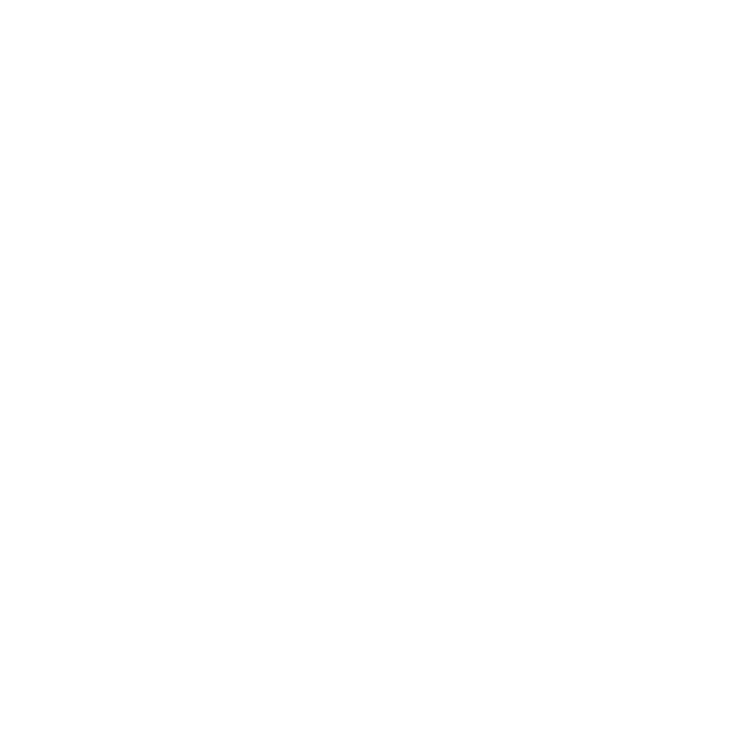Logo na cor branca da empresa de soluções e agentes de IA Velih Solutions